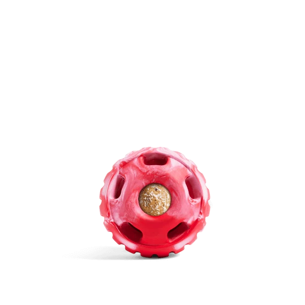 Pupsicle Long-Lasting Quiet Dog Toy That Fills With Treats