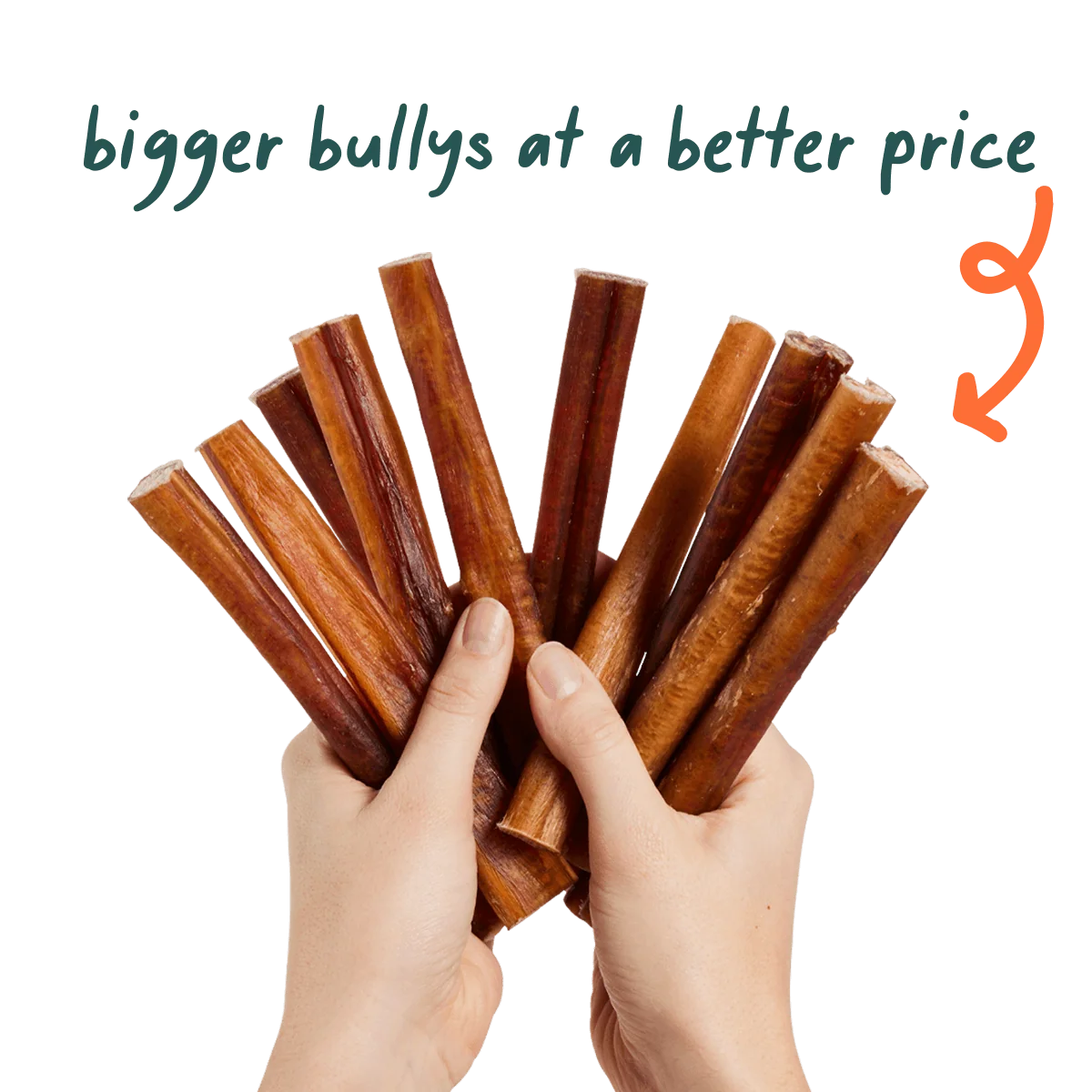 Free Range Grass-Fed Bully Sticks for Dogs