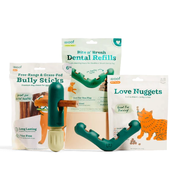 Ultimate Dental Pack: Bite n’ Brush Toy With Treats Bundle