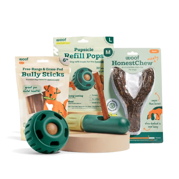 Enrichment Essentials-pakke til madglade hunde