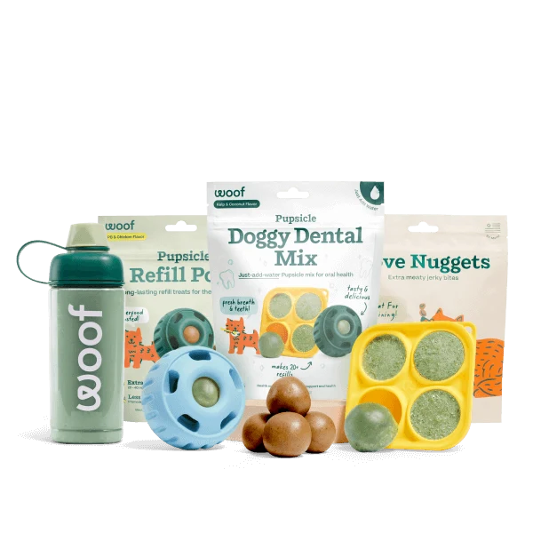 Pack de démarrage Dental Mix pour soins bucco-dentaires canins scientifiquement prouvés