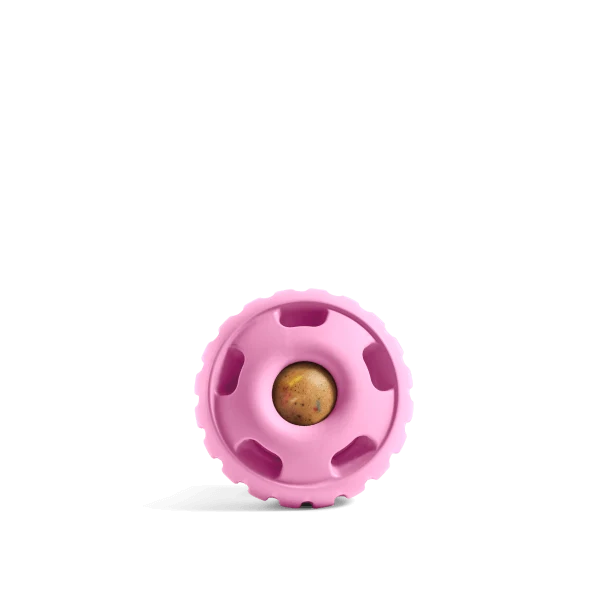 Pupsicle Long-Lasting Quiet Dog Toy That Fills With Treats