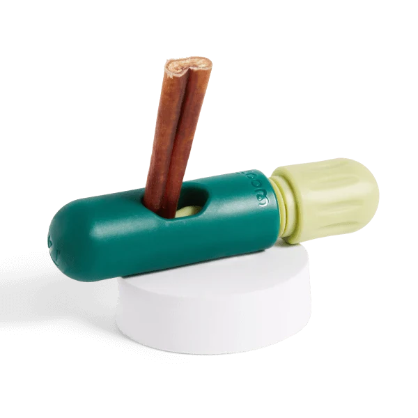 Dental Care