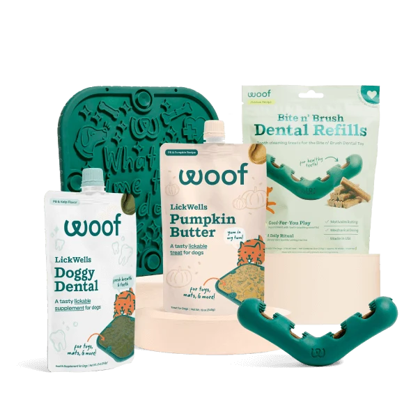 The Daily Ritual Wellness Routine for Dogs: Enrichment Plus Chew Time
