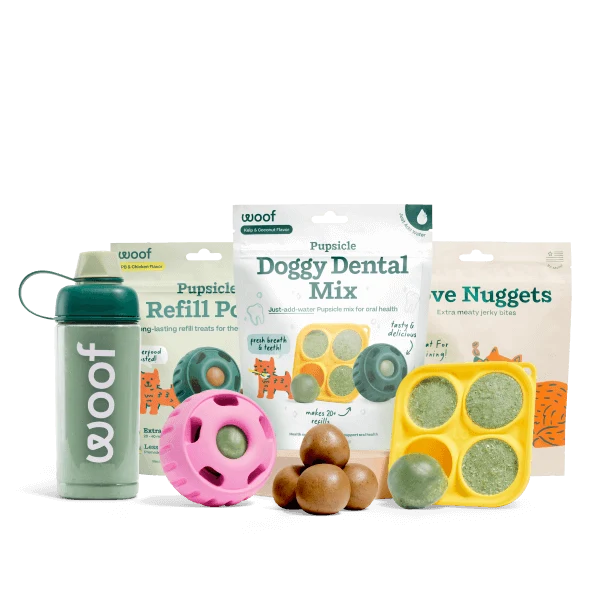 Pack de démarrage Dental Mix pour soins bucco-dentaires canins scientifiquement prouvés