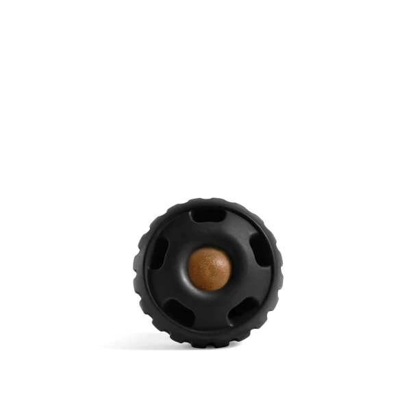 Pupsicle Long-Lasting Quiet Dog Toy That Fills With Treats