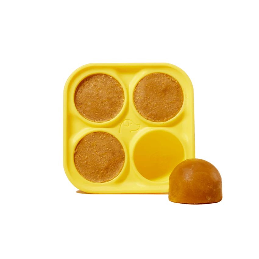 Pupsicle Treat Tray for Homemade Freezable Dog Treats