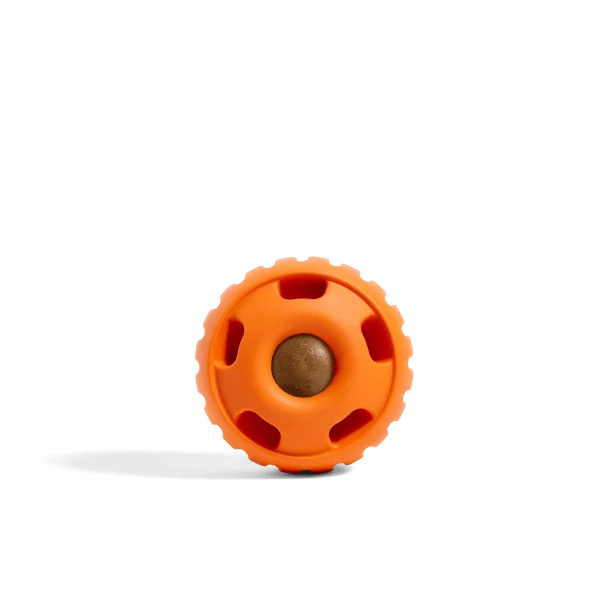 Pupsicle Long-Lasting Quiet Dog Toy That Fills With Treats