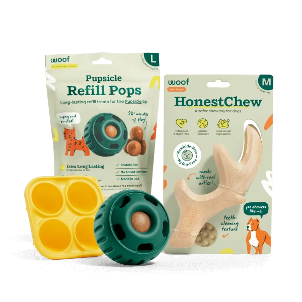 Safer Play Starter Pack for Chewtime and Enriching Play
