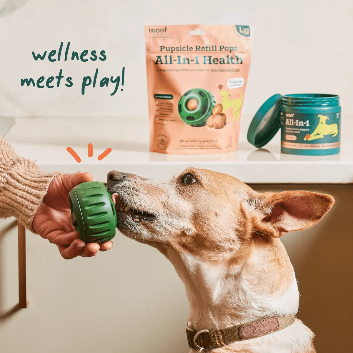 Pops Combo Pack Long-Lasting Treats for the Pupsicle with Essential Vitamins