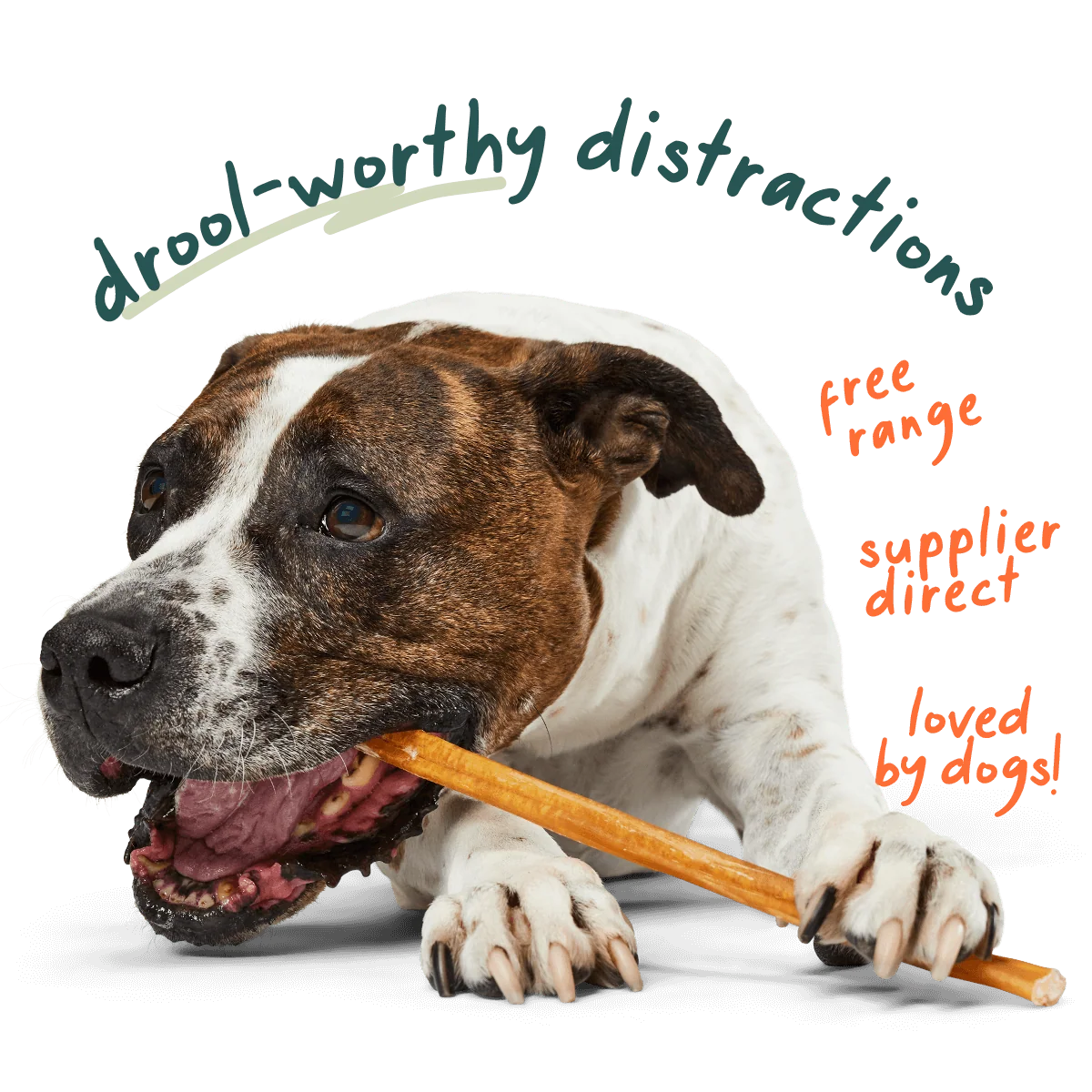 Free Range Grass-Fed Bully Sticks for Dogs