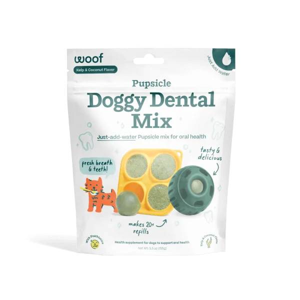 Dental Care
