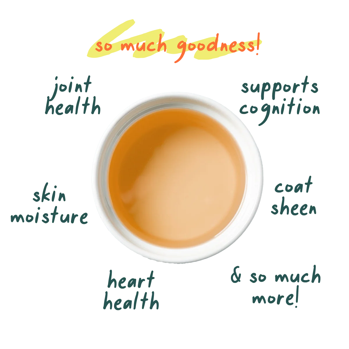 Salmon Oil