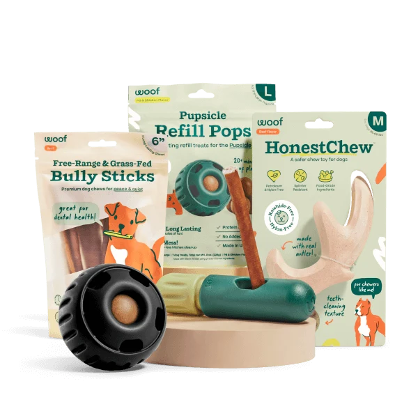 Power Chewer Bundle for Dogs That Chew Hard and Often