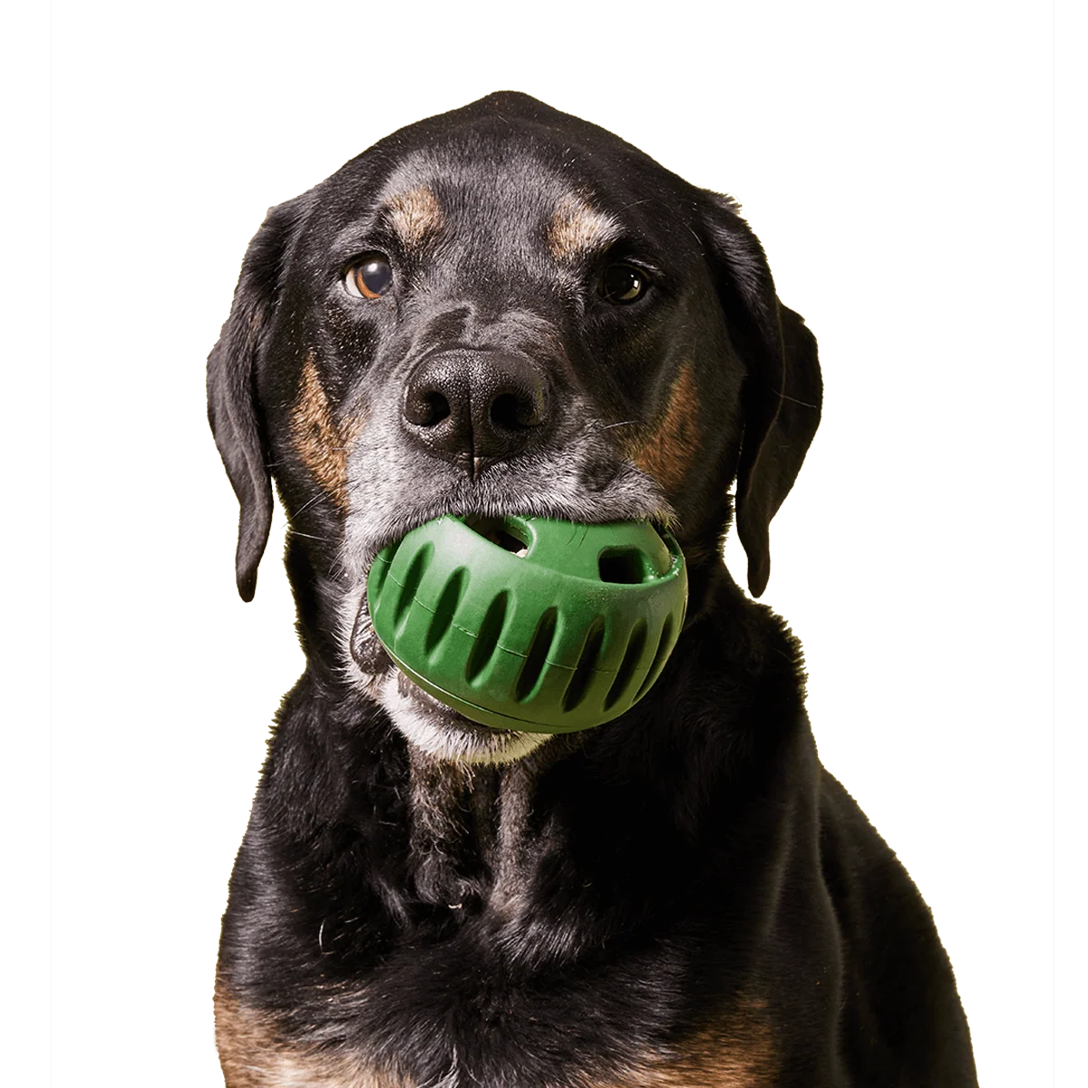 Stocking Stuffer Bundle with Pupsicle and Refill Pops