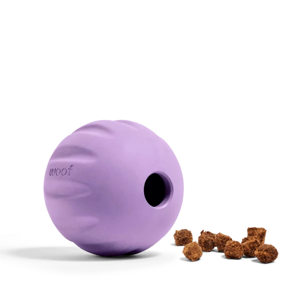 Flyball 2-in-1 Fetch Ball and Puzzle Dog Toy