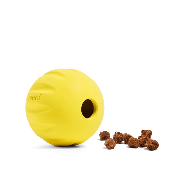 Flyball 2-in-1 Fetch Ball and Puzzle Dog Toy