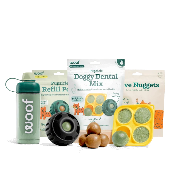 Pack de démarrage Dental Mix pour soins bucco-dentaires canins scientifiquement prouvés