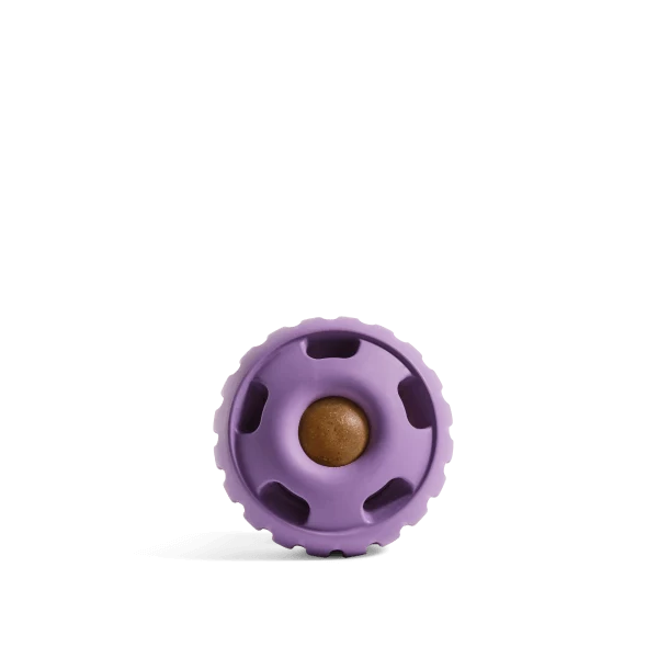 Pupsicle Long-Lasting Quiet Dog Toy That Fills With Treats