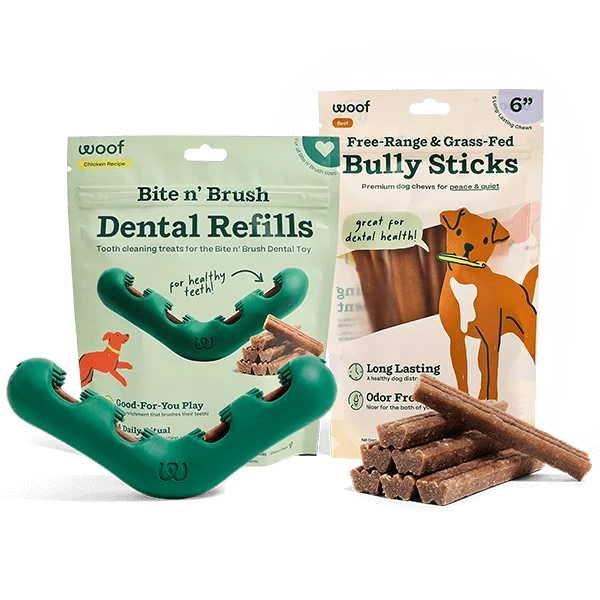Bite n' Brush Starter Pack for Dog Teeth Cleaning